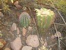 photo thumbnail #2
