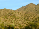 photo thumbnail #1