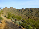 photo thumbnail #4