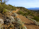 photo thumbnail #7