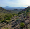 photo thumbnail #10