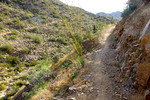 photo thumbnail #13