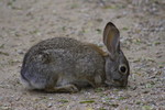 photo thumbnail #3