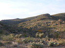 photo thumbnail #2