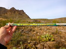 photo thumbnail #6