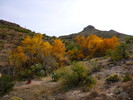 photo thumbnail #10