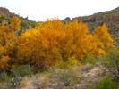 photo thumbnail #11