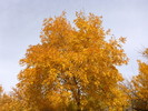 photo thumbnail #12