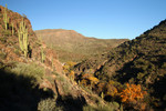 photo thumbnail #8