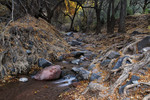 photo thumbnail #2