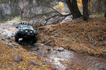 photo thumbnail #15
