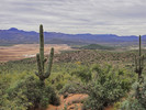 photo thumbnail #6