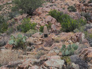 photo thumbnail #12