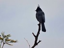 photo thumbnail #3