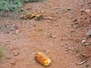photo thumbnail #5