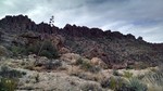photo thumbnail #13
