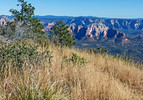 2014-11-08 :1: Bear Mountain Trail #54 :: tibber