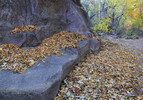 photo thumbnail #15