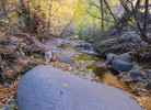 photo thumbnail #7