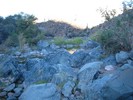photo thumbnail #11