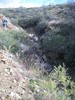photo thumbnail #12