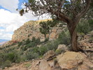 photo thumbnail #1