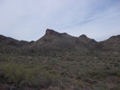 photo thumbnail #9