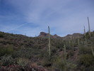 photo thumbnail #12