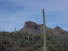 photo thumbnail #13