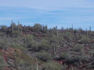 photo thumbnail #14