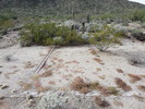 photo thumbnail #4