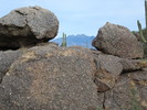 photo thumbnail #5