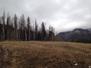 photo thumbnail #3