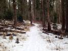 photo thumbnail #4
