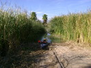 photo thumbnail #1