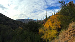 photo thumbnail #5