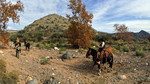 photo thumbnail #8