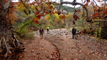 2014-12-06 :1: Lime Creek - Professor Creek :: The_Eagle
