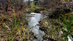 2014-12-06 :1: Lime Creek - Professor Creek :: The_Eagle