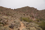 photo thumbnail #6