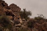 photo thumbnail #9
