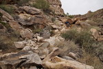 photo thumbnail #12
