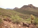 photo thumbnail #9