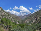 recent photo