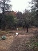 photo thumbnail #2
