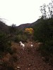 photo thumbnail #6