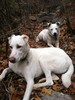 photo thumbnail #10