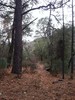 photo thumbnail #11