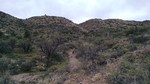 photo thumbnail #8