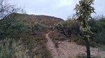 photo thumbnail #9